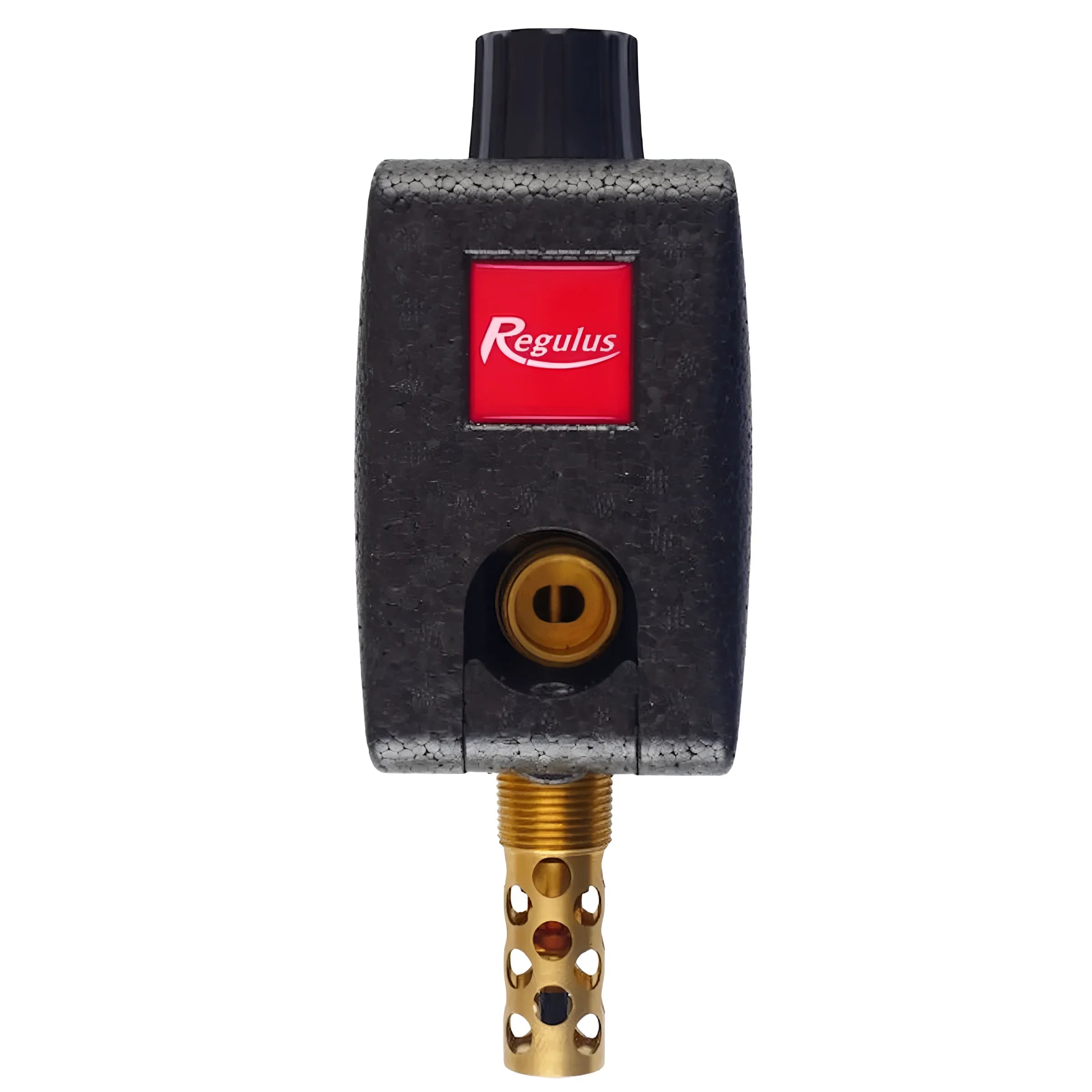 Regulus DBV2 thermische Ablaufsicherung 🔥 für Heißes Wasser, schützt vor Überhitzung, automatischer Wasserablauf 🚰