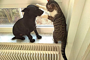 Pelletkessel DEFRO Gamma 15 kW - GEMA Shop